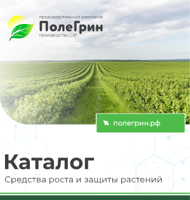 Электронный буклет ссылки