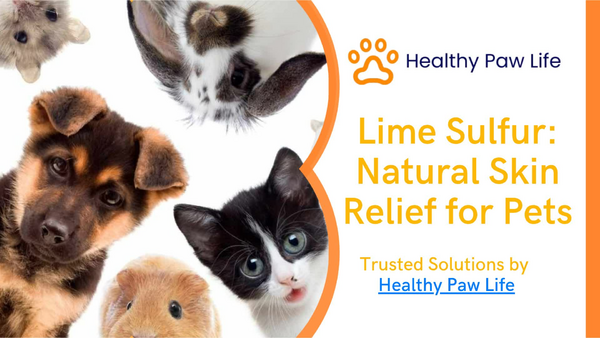 Lime Sulfur – Natural Skin Relief for Pets.pdf