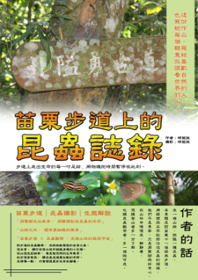 組合 1
