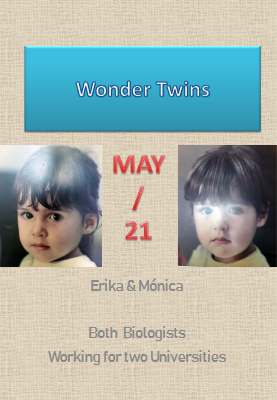 Wonder Twins