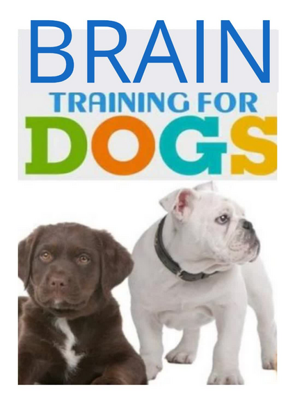 Brain Training For Dogs.pdf