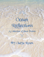 Ocean Reflections