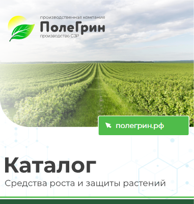 Электронный буклет ссылки