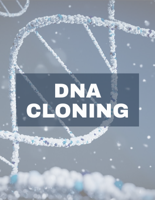 DNA Cloning