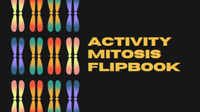 Dark Gray and Yellow Illustrative Science Mitosis Flipbook Group Work