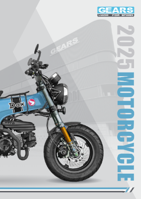 2025 Gears Motorcycle