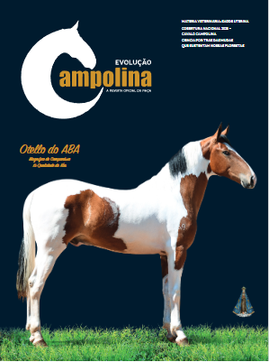 evcampolina_23digital