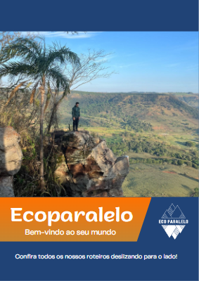 Descritivos ecoparalelo